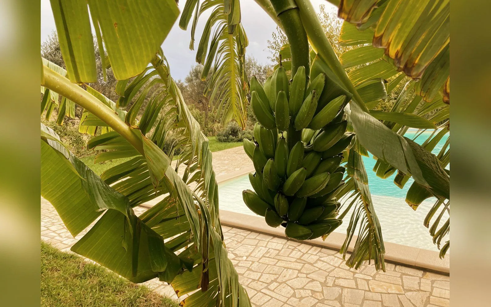 Villa Antonella, 